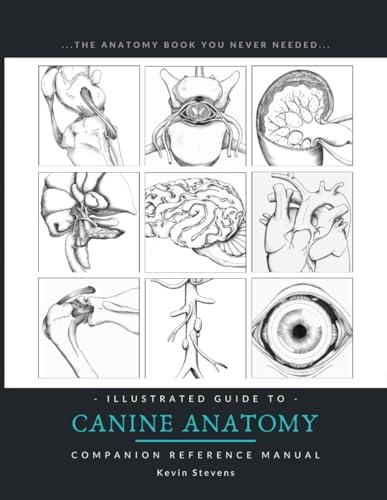 Veterinary Anatomy of Domestic Animals: Textbook and Colour Atlas