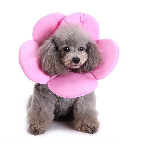 HEART SPEAKER Adjustable Flower Shape Medical Magic Tape Pet Healing Neck Protection Collar