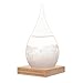 Chekue Storm Glass, Crystal Desktop Drops Craft Weather Predictor Forecaster, Perfect for Home Office Decoration and Birtherday Valentine‘s Day Gift, Large, 3.2 x 6.7 Inch