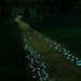 DE 100 Man-made Blue Glow in the Dark Pebbles Stone for Garden Walkway