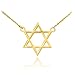 High Polish 14k Gold Jewish Star of David Charm Necklace (yellow-gold, 18 Inches)