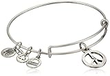 Alex and Ani Bangle Bar 