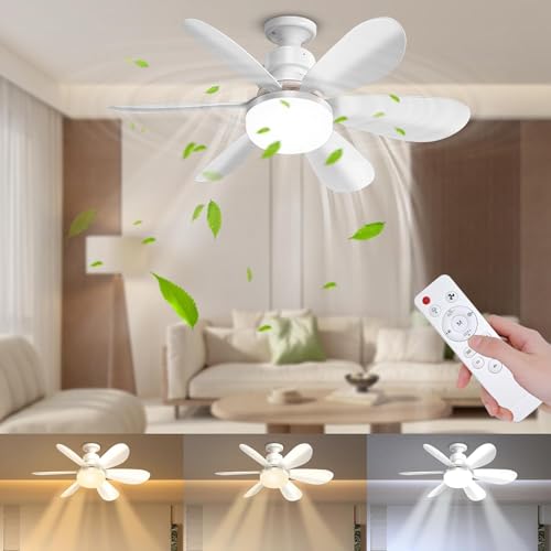 DBFAIRY 52cm Ceiling Fans with Lights, E27 Base Screw in Small Ceiling Fans Lights with Remote Timer 3 Colors Dimmable, 3 Speeds, 3000K-6500K LED Light for Bedroom Kitchen Office Dormitory