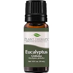 Plant Therapy Eucalyptus Globulus Essential Oil 10