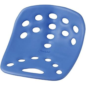 Amazon Com Posture Corrector Lower Back Support Sciatica