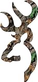 Browning Buck Mark 5