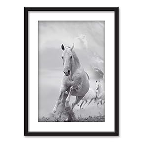 Framed Galloping Horses in Black White Black Picture...