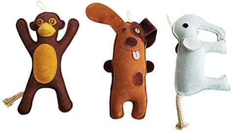 American Pet Supplies Chew Toy Set for Dogs and Puppies