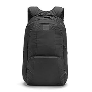 Pacsafe Metrosafe LS450 25 Liter Anti Theft Laptop Backpack – with Padded 15″ Laptop Sleeve