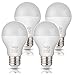 Tento Lighting 12v LED Bulbs Low Voltage 10w E26 60 Watts A19 Incandescent Replacement Low Voltage Only Off Grid Living Lighting Warm White 4Pack
