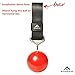 FITactic 3 Inches Rock Climbing Solid Training Cannonball Bomb Power Pull Up Ball Hold Grips for Straps for Finger, Forearm, Biceps, Back Muscles, Sports, Race (2 Balls, Black 3