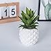 Lvydec Potted Artificial Succulent Decoration, Fake Pineapple Plant for Home Office Tabletop Decoration (White)