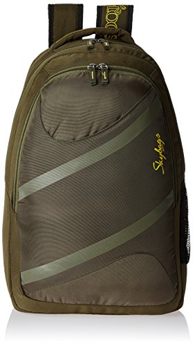 skybags under 500 in amazon