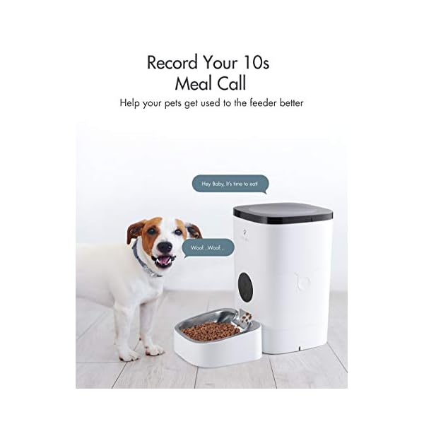 automatic cat feeder with collar