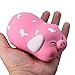 Slow Rising Squishies Jumbo,Scented Soft Squeeze Stress Relief Toy Round Pig(Color Random)