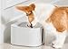 SUKI&SAMI Pet Fountain Cat Water Dispenser Healthy and Hygienic Drinking Fountain, 3L Automatic Electric Water Bowl for Dogs, Cats, Birds and Small Animals (Radar)