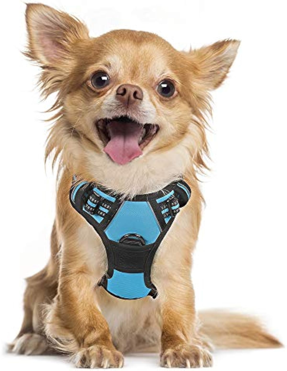 amazonbasics dog harness