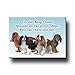 Cavalier King Charles Can't Have Just One Fridge Magnet