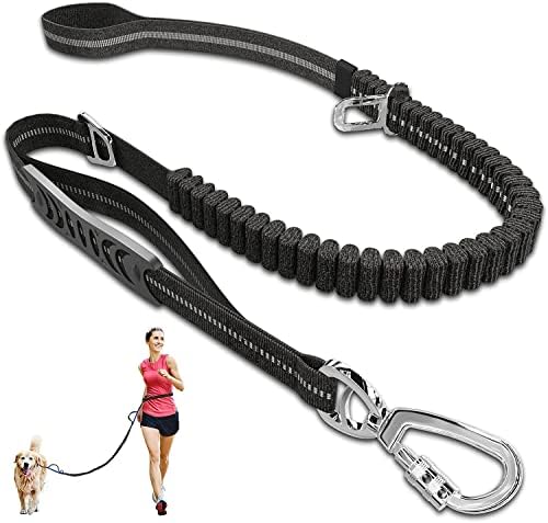KASTWAVE Heavy Duty Dog Leash, 4-6Ft Length, Reflective Dog Leash