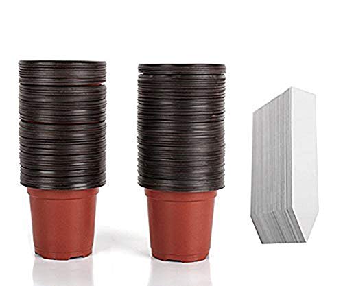 M-Aimee 100 Pcs 4″ Plastic Plants Nursery Pot/Pots Seedlings Flower Plant Container Seed Starting Pots with 100PCS Waterproof Plastic Nursery Garden Labels Plant Tags