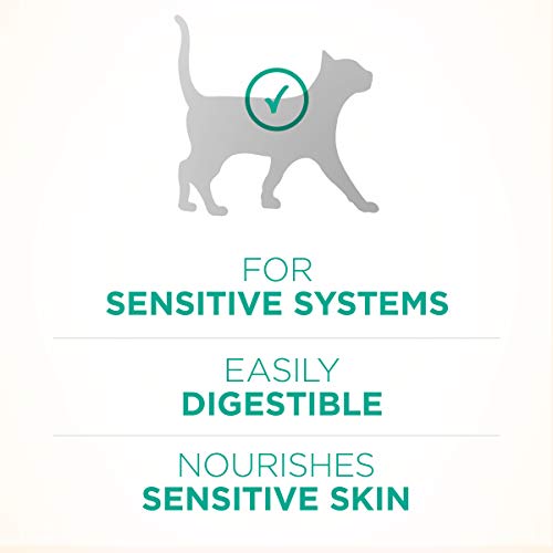 Purina ONE Sensitive Stomach, Sensitive Skin, Natural Dry Cat Food