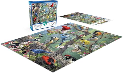 Buffalo Games - Hautman - Birds in an Orchard - 1000 Piece Jigsaw Puzzle For Adults -Challenging Puzzle Perfect for Game Nights - Finished Size is 26.75 x 19.75