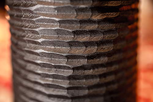 6 Meinl+Djembe+Mahogany+Wood+WARRANTY