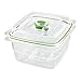 FoodSaver B01AJJ1WNA FA4SC35810-000 Fresh Vacuum Seal Food and Storage Containers, 4-Piece Set, Clear, Multi