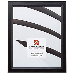 Craig Frames 7171610BK 8.5 by 11-Inch Picture