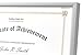 Golden State Art, 8.5x11 Aluminum Frame, Real Glass, Metal Frame for 8.5 by 11 inch Document, Certificate, Diploma. with Easel Stand (Silver 1pack)
