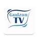 Gudzon TV STB