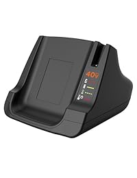 BLACK+DECKER Cargador rápido LCS40, 40V MAX