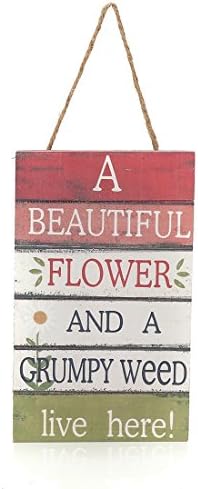 8"x4.8" Wood Fun Decorative Hanging Plaque Sign (A Beautiful Flower And A Grumpy Weed Live Here)