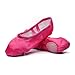 MSMAX Ballet Shoes for Girls Toddler Shoes Rose Dance Slippers for Party 12 M US Little Kid