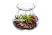 Hinterland Trading Austin Forrest In Glass Rosie Posie Vase with 2 Ounce Fertilizer