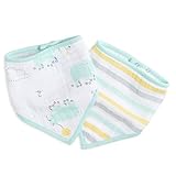 aden by aden + anais bandana bib 2 pack, skating