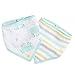 aden by aden + anais bandana bib 2 pack, skating