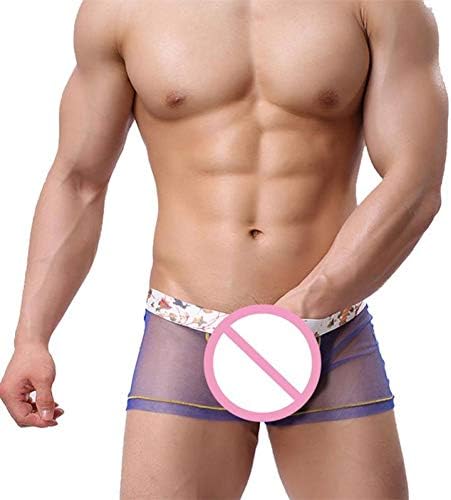 FoXiSN Men's underwear Transparent Mesh Sheer Men'S Boxers See Through Underwear Shorts Breathable Underpants Comfortable Homewear Sleepwear