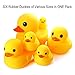 Novelty Place Rubber Duck Family Pack Ducky Baby Bath Toy for Kids (Pack of 6)