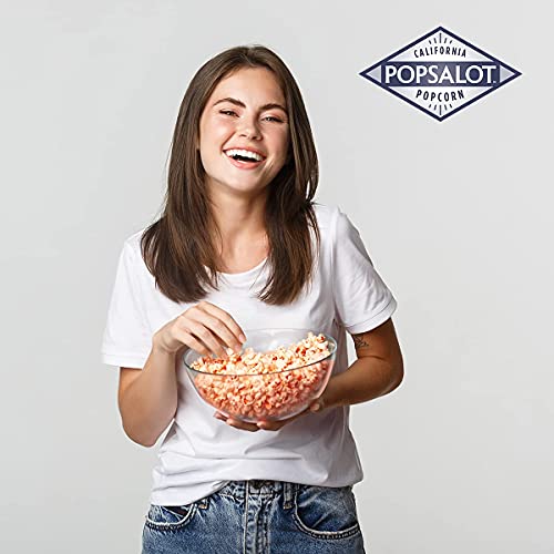 Popsalot Gourmet Popcorn OvenBaked Ready to Eat Flavored