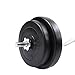 Giantex Barbell Dumbbell Weight Set Gym Lifting Exercise Curl Bar Workout 64 LB