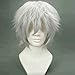 BERON Cool Men Short Straight Cosplay Costume Party Funny Wigs (Silvery White)