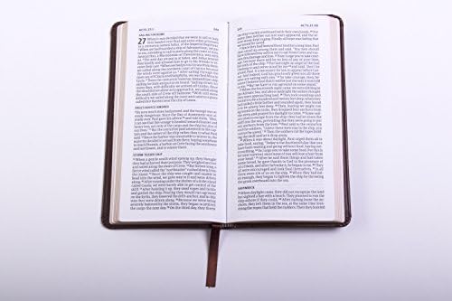 share jesus without fear new testament