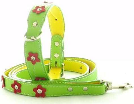 collar and leash pet store