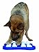 Nina Ottosson DogFinder Interactive game