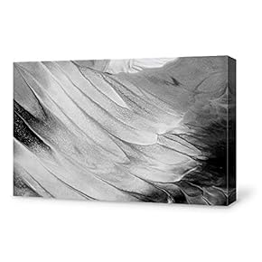 signwin Canvas Wall Art Modern Abstract Art Canvas...