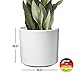 Modern Ceramic White Round Medium Flower Pot 10.5 inch | Las Vegas Model for Indoor Large Planter | Fits Perfectly in 11 inch Mid Century Plant Stands | Cylinder Plant Pots | Large Round Vase