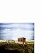 Schleich Rabbit Hutch Toy House (Discontinued by manufacturer)