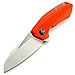 Eafengrow 0456 Tactical Folding Knife G10 Handle D2 Blade Bearing Flipper Hunting Camping Survival Outdoor Tool Knifes (Orange)