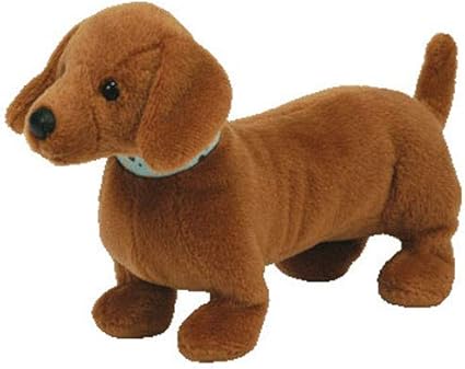 cost of dog boarding near me